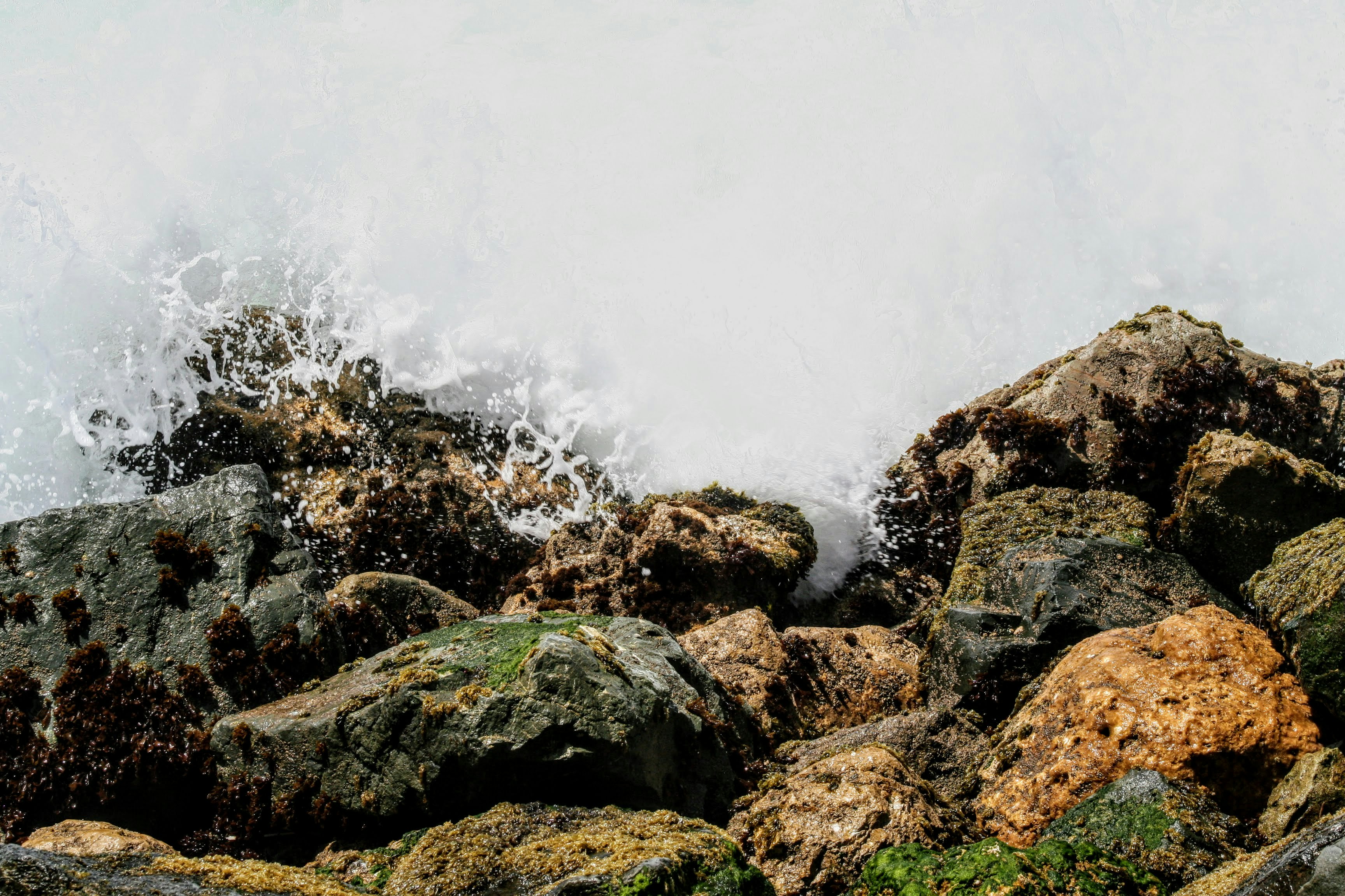 photo of an ocean wave on rocks